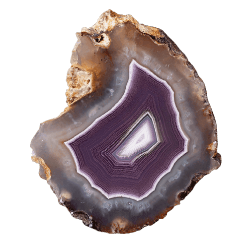 Radiant Glow Coyamito: Nature's Luminescent Marvel
