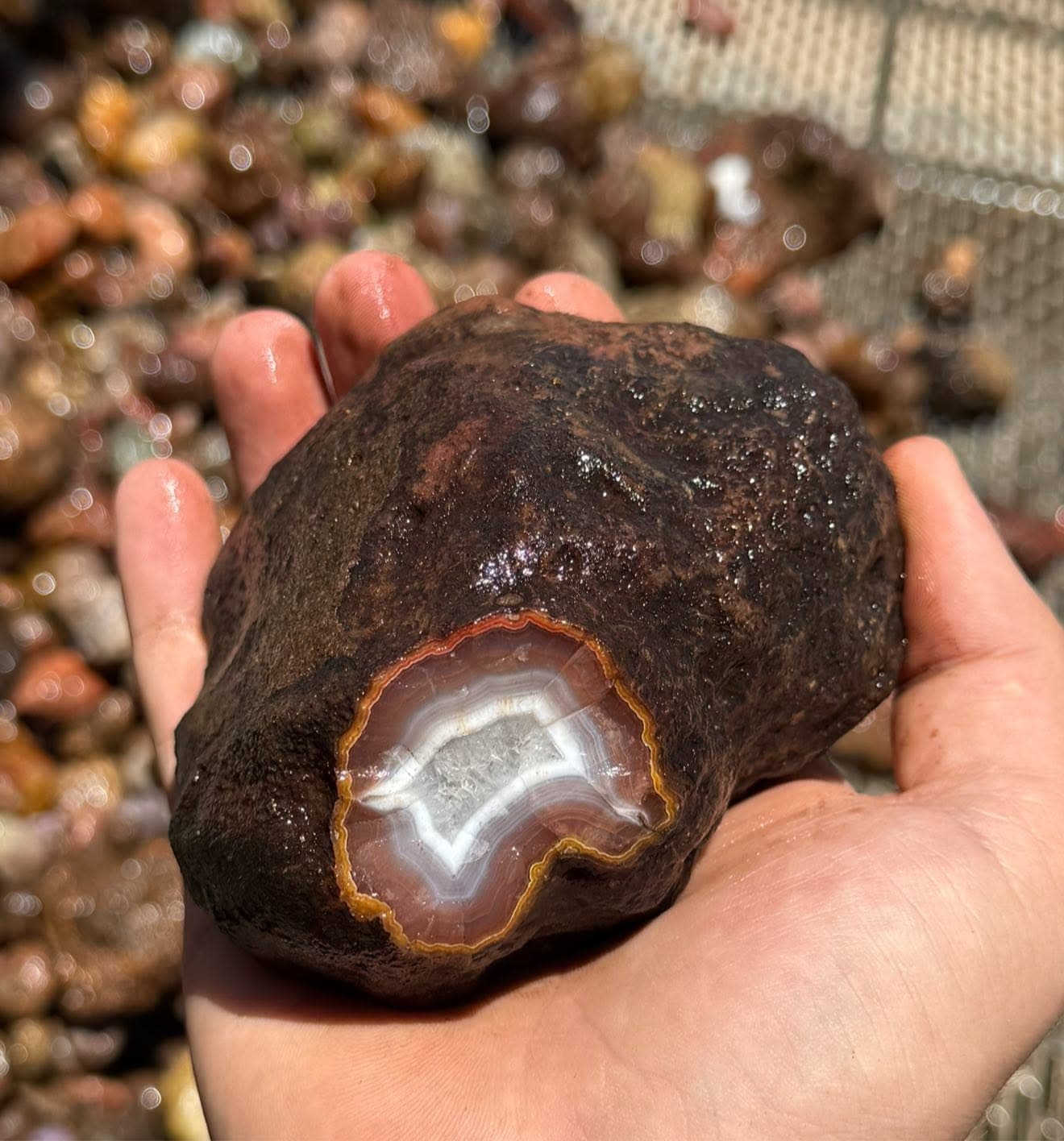 How Mexican Agates Form: From Gas Bubble to Masterpiece