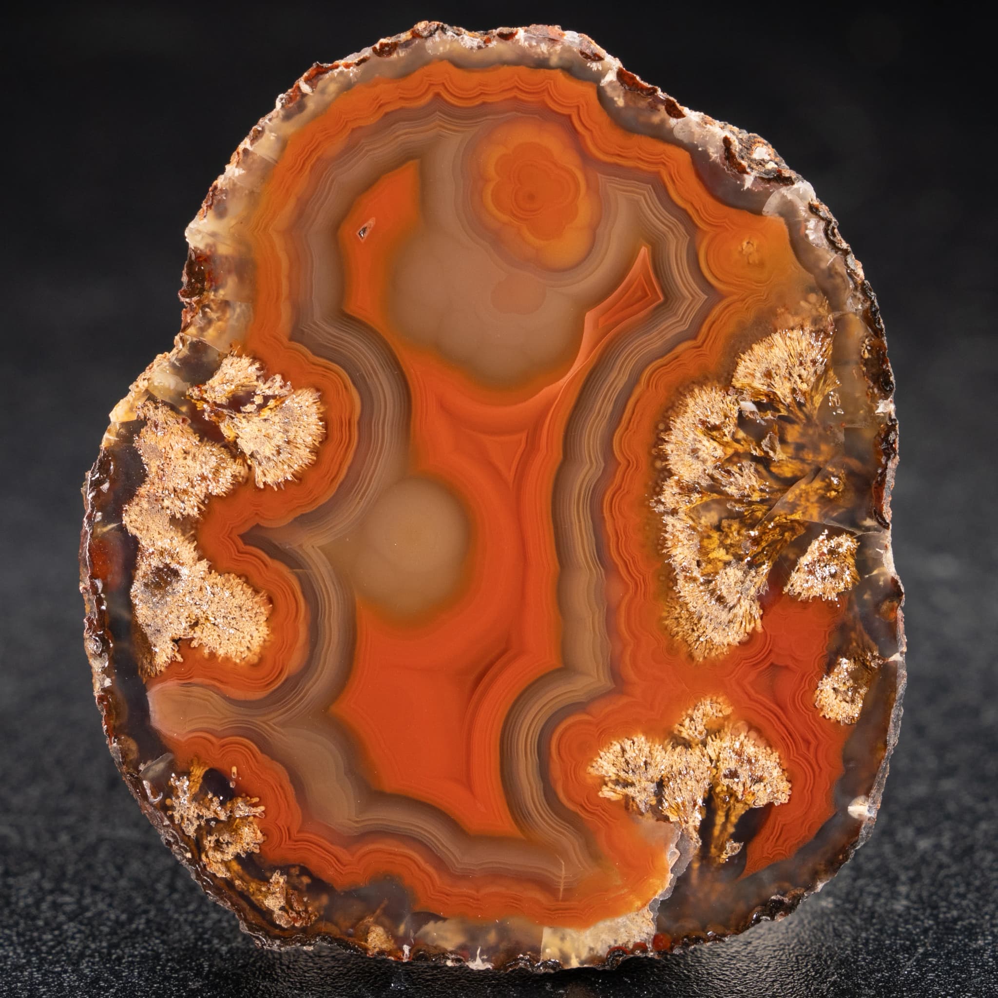 https://cdn.agatesfrommexico.com/file/agates-prod/products/CYM25543/ak8F4_cJIGhVnZhqwkd_s.png