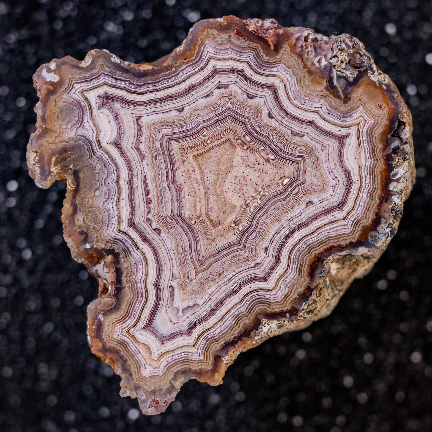 https://cdn.agatesfrommexico.com/file/agates-prod/products/LAG24104/UUBLqWvwfyEy1mvs4ZvF-.png