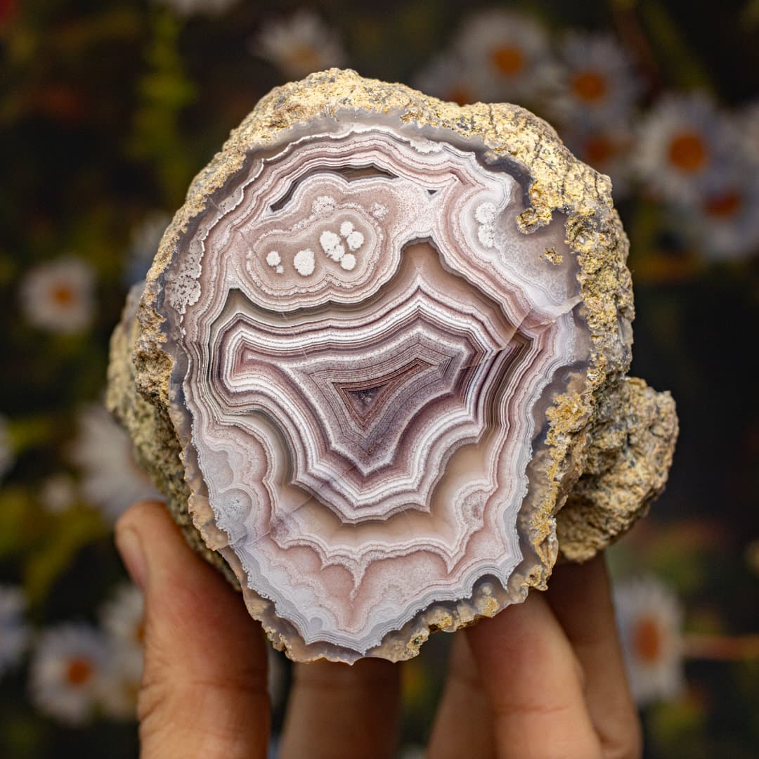 https://cdn.agatesfrommexico.com/file/agates-prod/products/LAG24166/nuwyvueq3ewaaaanqys2.jpg
