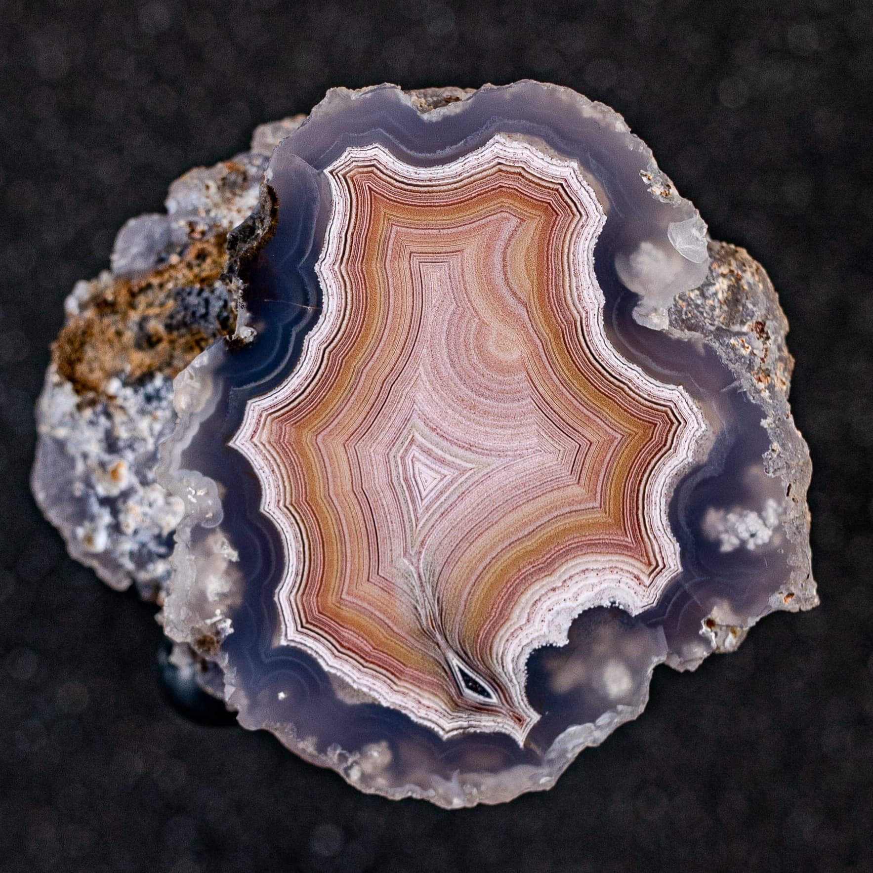 https://cdn.agatesfrommexico.com/file/agates-prod/products/LAG2417/fzhite0egtzpvjklg8mu.jpg