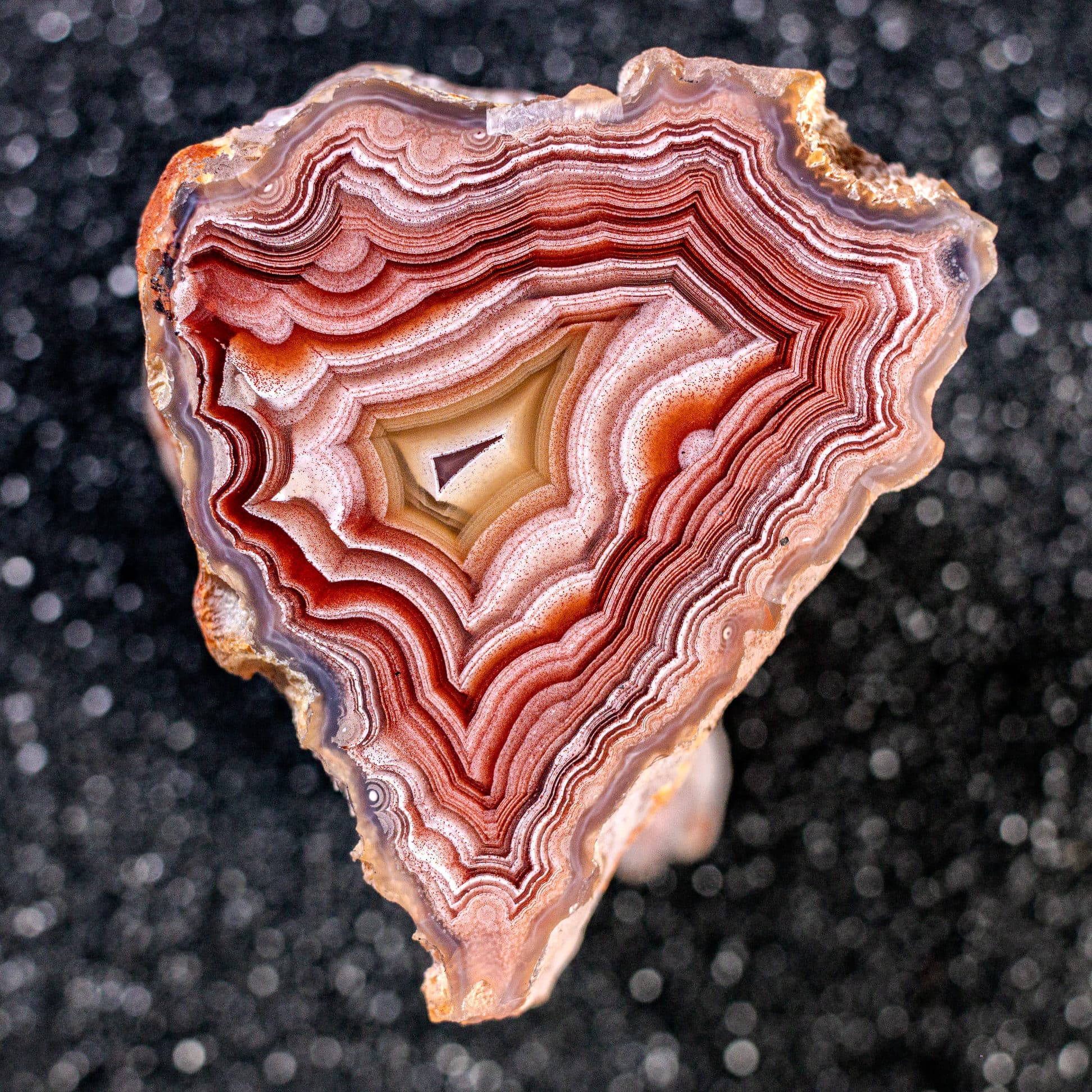 https://cdn.agatesfrommexico.com/file/agates-prod/products/LAG2492/xycqx9n2mde8f28vfnxt.jpg