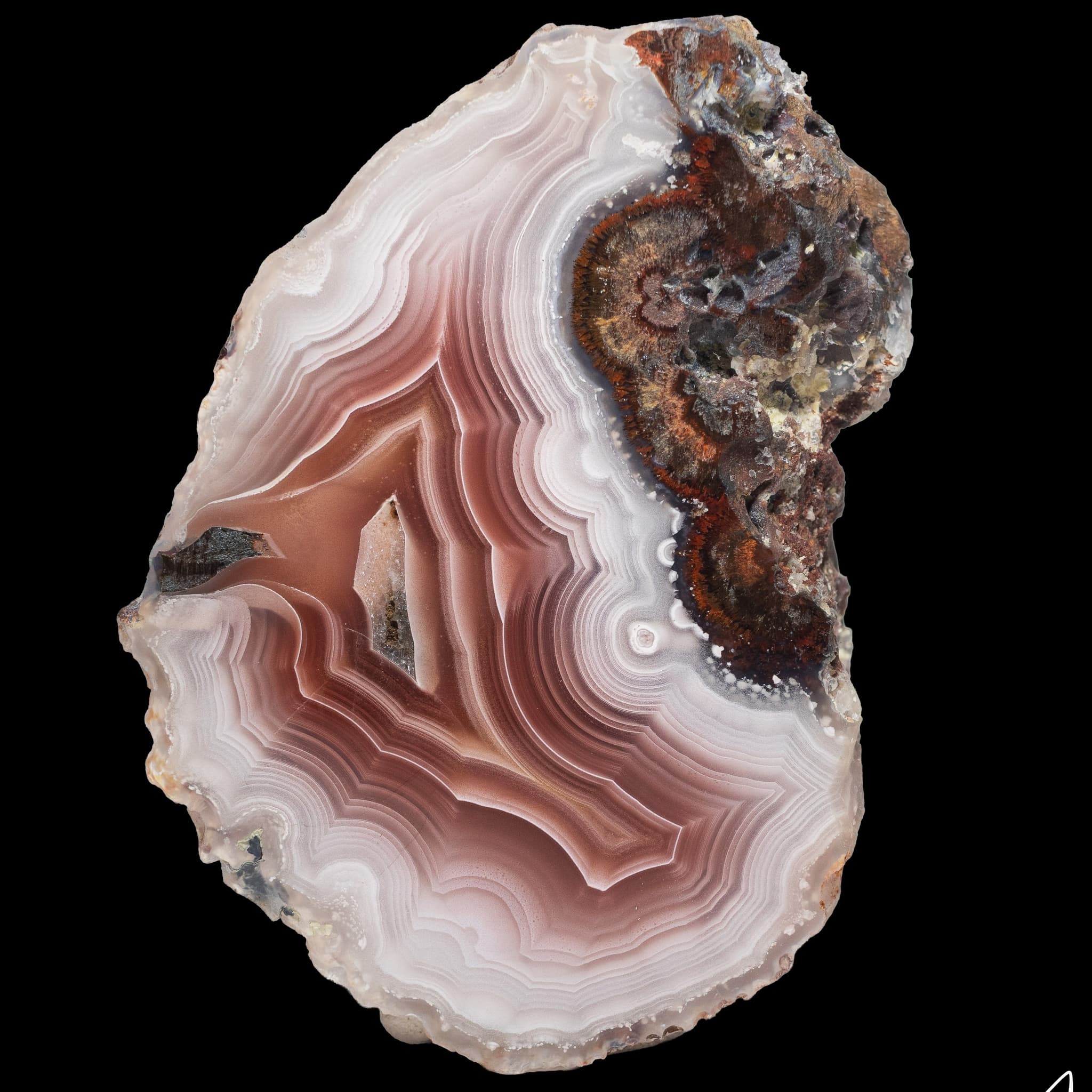 https://cdn.agatesfrommexico.com/file/agates-prod/products/LAG25256/t6ecsippuo0zrfldtkt8.jpg